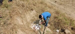 शिरापूर पाठोपाठ सराटेवडगांव येथील मधील १०० कोंबड्या व २ कावळे मृत 2 कोंबड्या