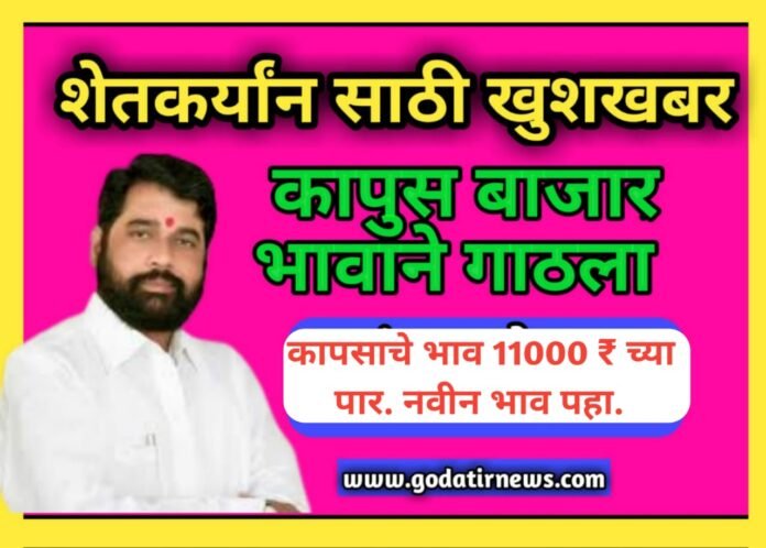 Cotton Rate Today Update -. शेतकऱ्यांसाठी आनंदाची बातमी !... कापूस बाजारभावात मोठे बदल! कापसाचे भाव 11000 ₹ च्या पार. नवीन भाव पहा.