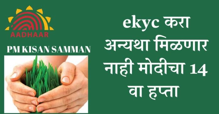 pm kisan status aadhar