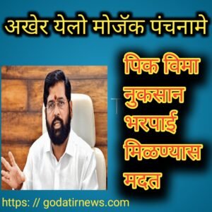 अखेर येलो मोजॅक पंचनामे Finally the Yellow Mosaic Panchname 2 20231004 081629